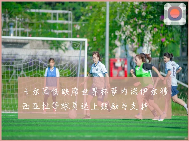卡尔因伤缺席世界杯萨内诺伊尔穆西亚拉等球员送上鼓励与支持