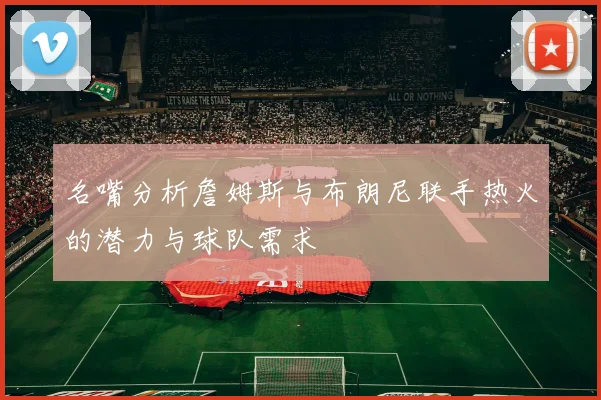 名嘴分析詹姆斯与布朗尼联手热火的潜力与球队需求